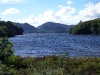 Muckross House Lake