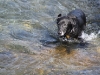 Jade in the Bow River