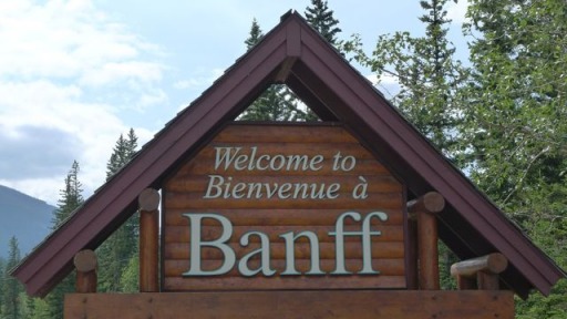 Banff Market Day