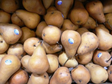 Bosc Pears