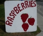 Raspberries