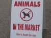 No Luck for Market Dogs