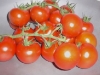 Seasonal Tomatoes