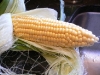 Corn on the cob