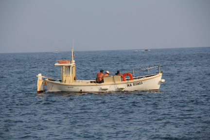 Fishing in Marseille