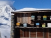 Val-D\'Isere-bee-hives