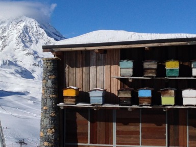 Val-D'Isere Bee Hives #ValDIsere #France @GingerandNutmeg