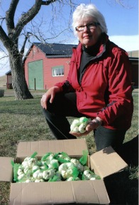 Jackie Chalmers New Oxley Garlic