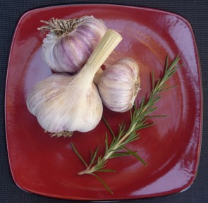 New Oxley Garlic