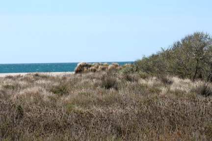 Camargue Park