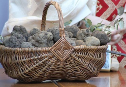 Basket of Truffles