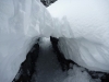 Lake O\'Hara winter