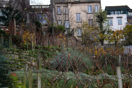 Clos de Montmartre