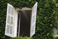 Provencal Doors and Windows