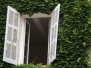 Provencal Doors and Windows