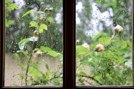 Provencal Window