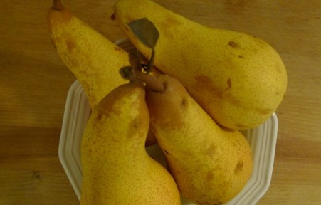 Pears in Season