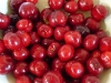 Tree Ripened Cherries