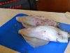 Squid Stuffed with Spinach