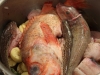 Assorted Fish for Bouillabaisse