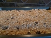 Granola Bars