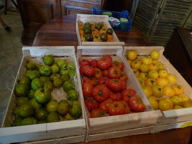 Tomatoes