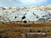 Montana