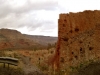 Arizona