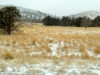Idaho