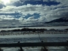 Roadtrip-photos