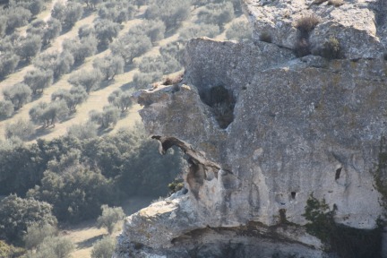 les-baux-view