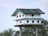 Purple-martin-house