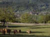 Collonges la Rouge-view