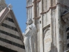 Siena Duomo