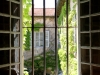 Provencal Window