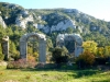 Roman Aqueduct