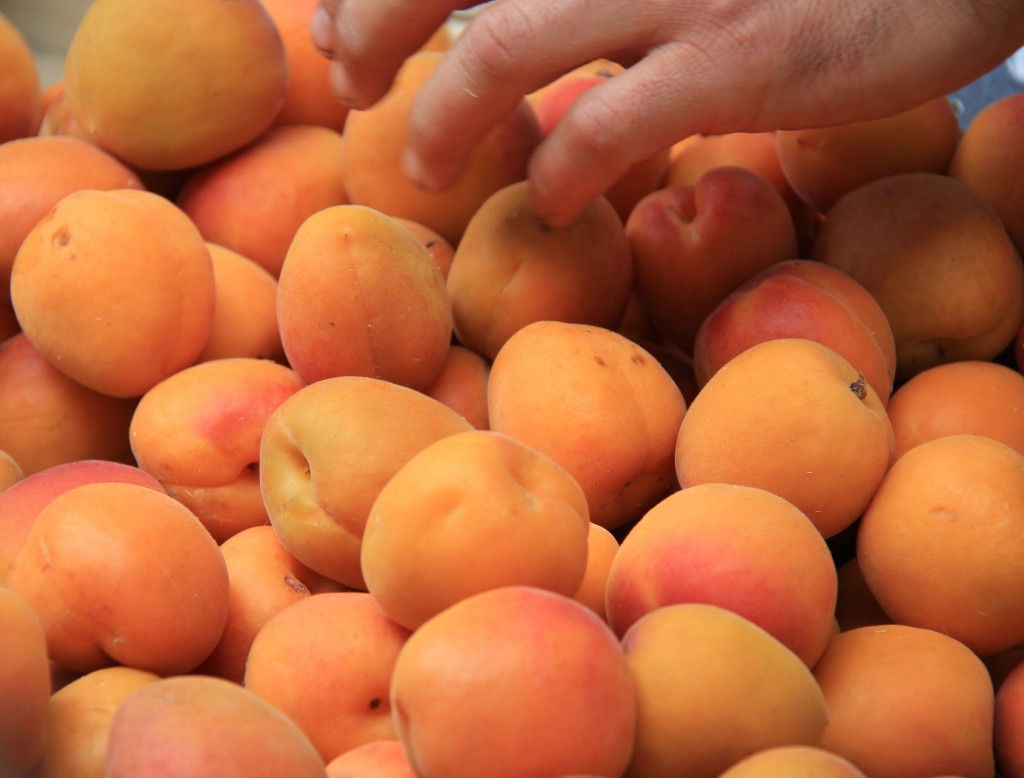 Apricots in Provence #Apricots #Markets #Provence @GingerandNutmeg