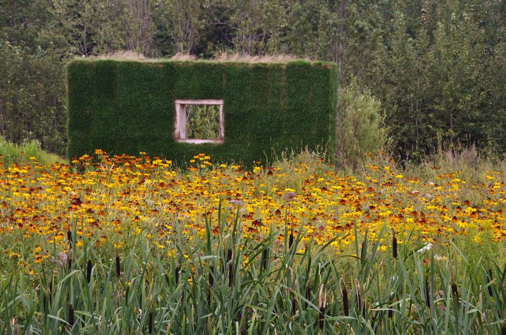 Mirror mirror on the floor, whats beyond the great grass wall 2011 Habitation Landscape Architecture - David Vago, Simone Marsh, Nick Brown #lesJardinsdeMetis #RefordGardens © 2011, Louise Tanguay, Jardins de Métis/Reford Gardens