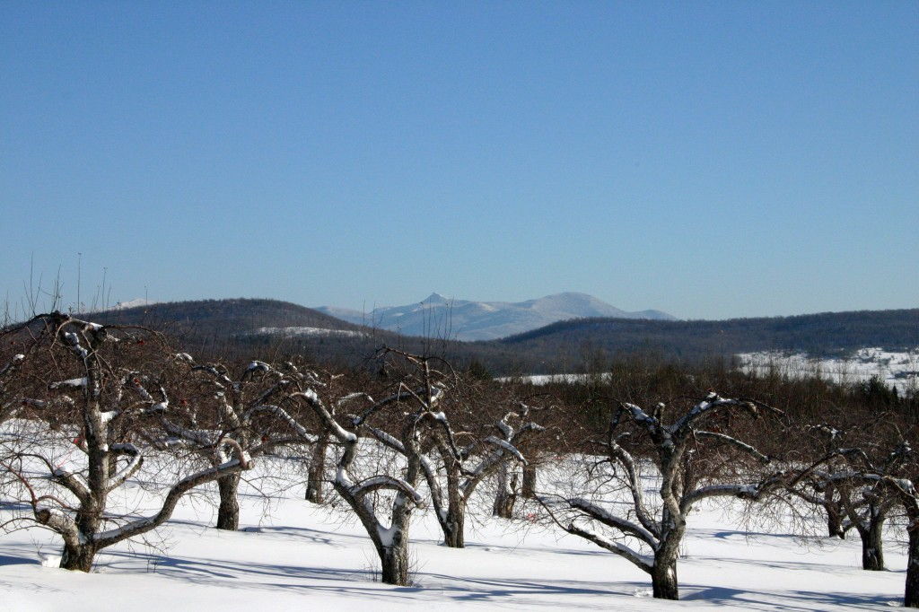 Jay Peak from Domaine Pinnacle #DomainePinnacle #JayPeak