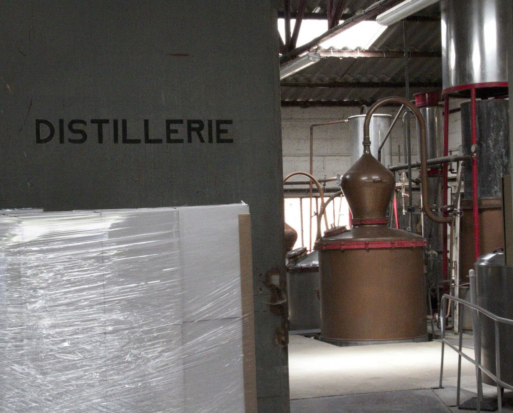 Manguin Distillery #ManguinDistillery #Provence #Avignon