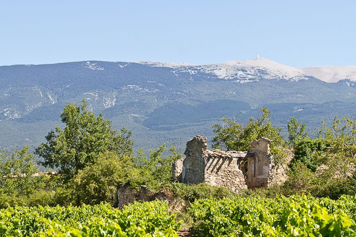 Mont Ventoux Chateau Pesquie #Provence #Vineyard #chateaupesquié @fredchaudiere 