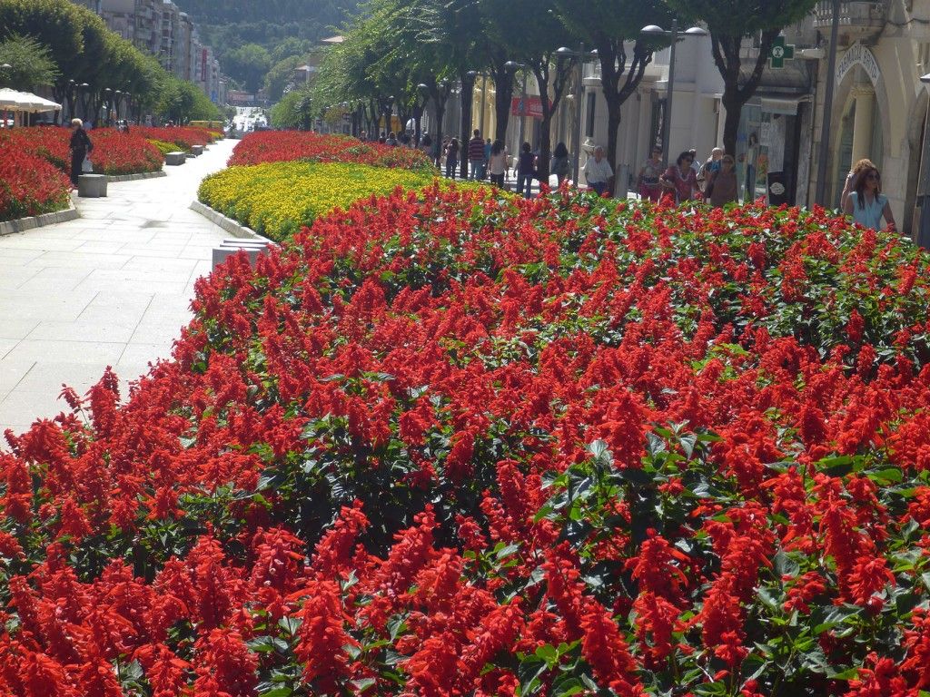 Braga Public garden #Portugal #Braga @GingerandNutmeg