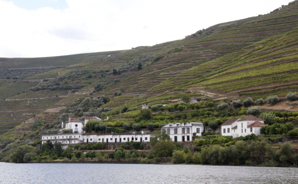 Douro River view #Douro #Portugal @GingerandNutmeg