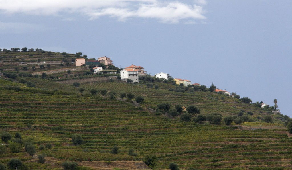 Douro Valley views #Portugal #Douro @GingerandNutmeg