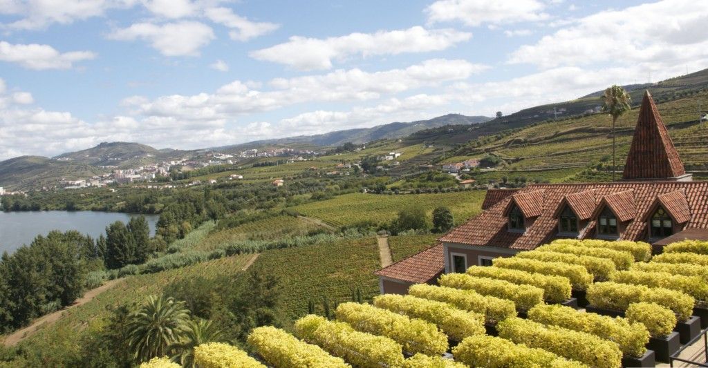 Douro Panorama #Douro #Portugal @GingerandNutmeg