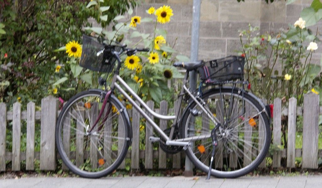 Biking Germany #Germany #RomanticRoad @GingerandNutmeg