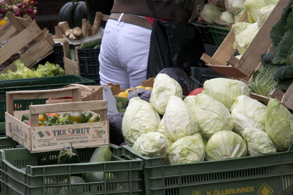 Cabbage #Germany #Cycling #RomanticRoad @GingerandNutmeg