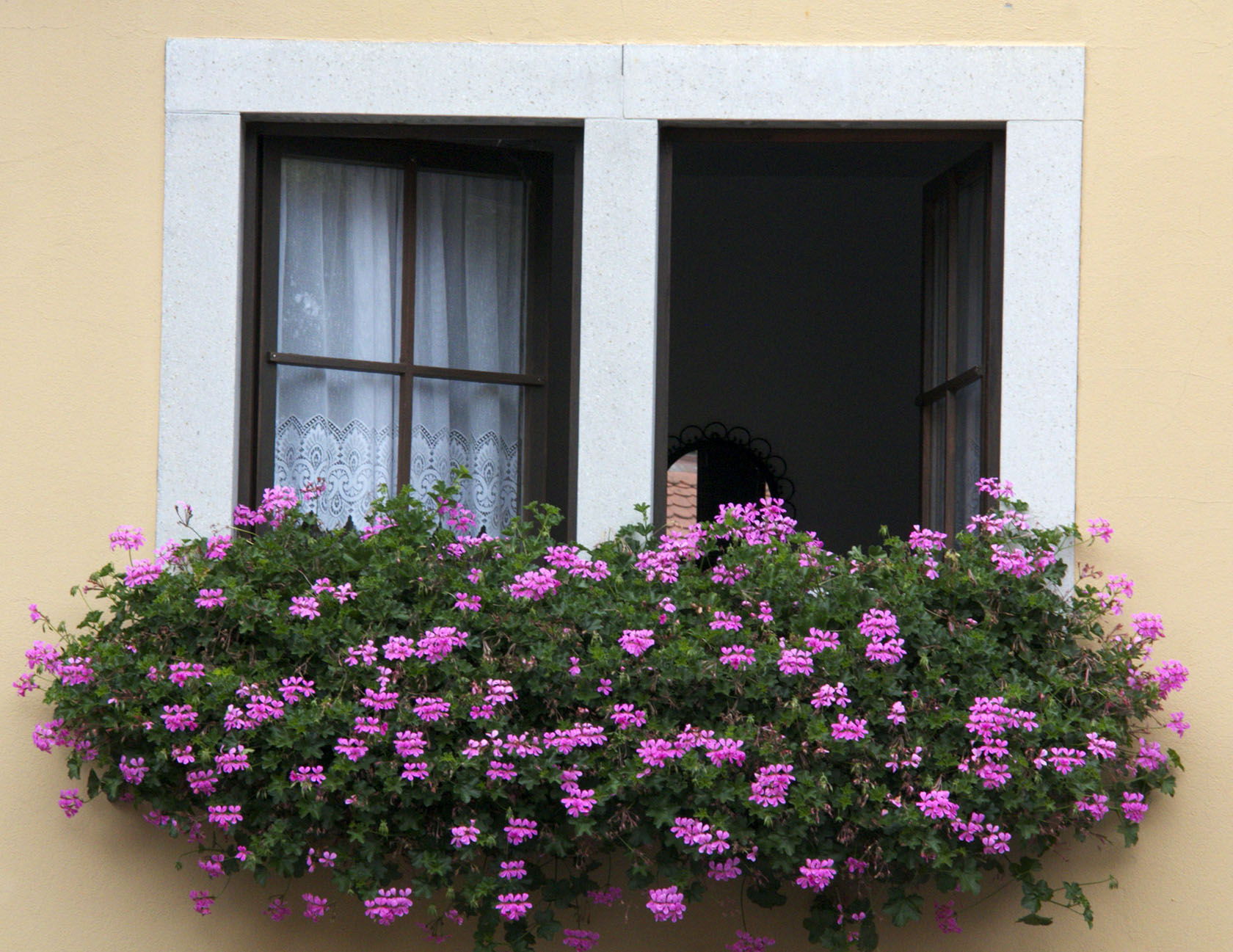 Biking Romantic Road Germany Flowers @GingerandNutmeg