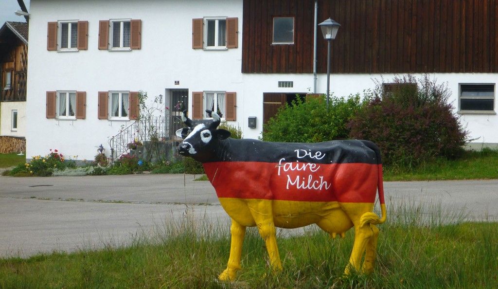 patriotic cow #Germany #Cycling #RomanticRoad @GingerandNutmeg