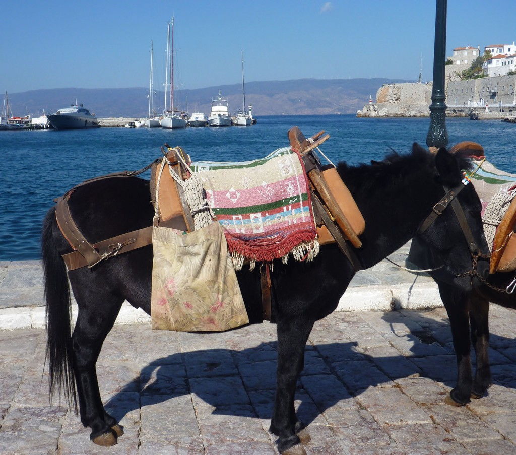 Hydra donkey #Greece #VisitGreece @GingerandNutmeg